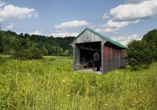 Wild kissing house