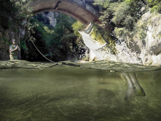 Fishing Under the Bridge