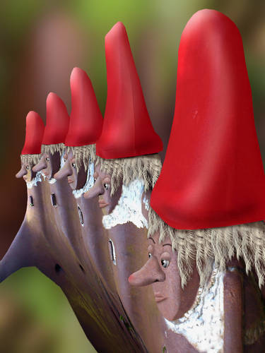 Gnomes