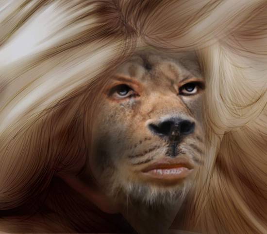 My lioness