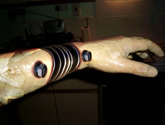 Bionic Arm