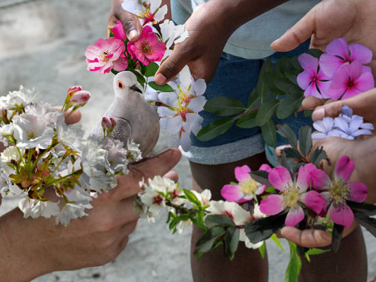 PEACE, LOVE and FLOWERS