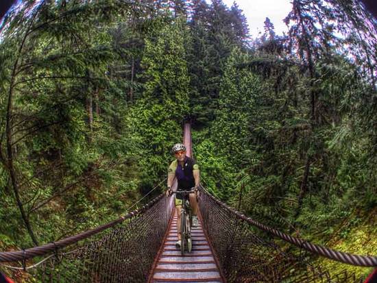 on a wooden bridge