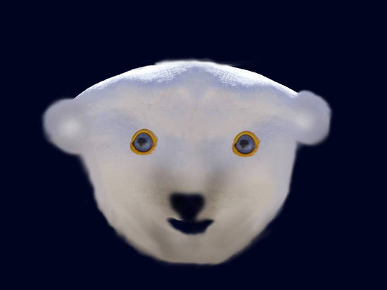 Polar Bear