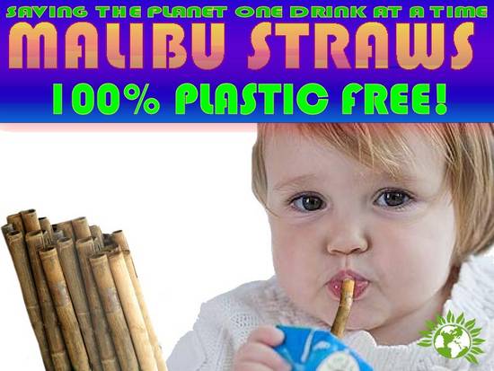 Bamboo Straws