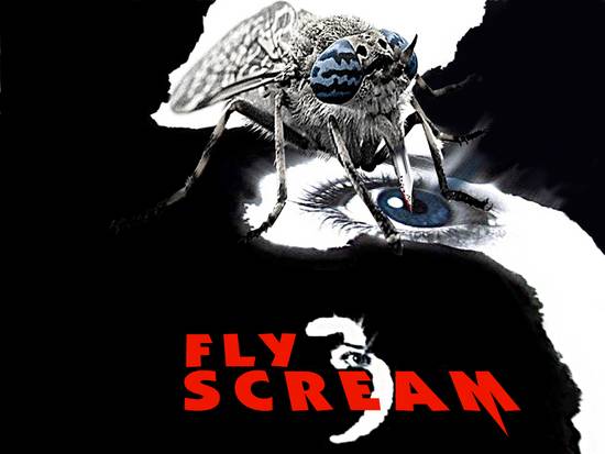 FLY SCREEN