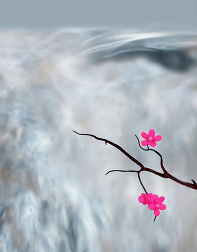 Waterfall & Flowers