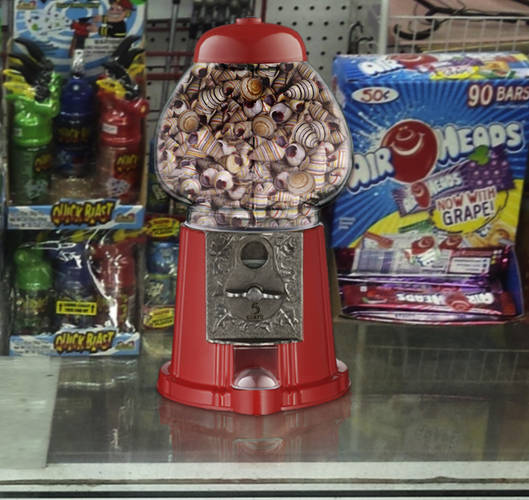 Shell Candy Dispenser