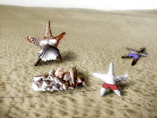 She sells seashells....