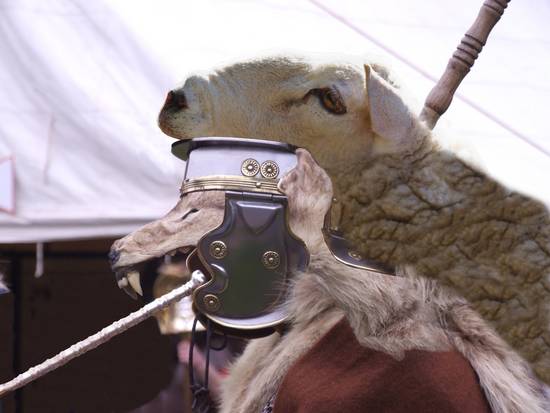 Sheep Helm