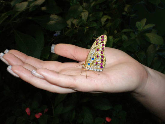 Butterfly of Stones.