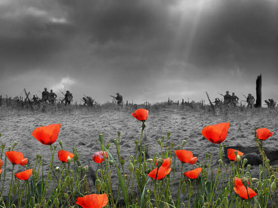 In Flanders Fields