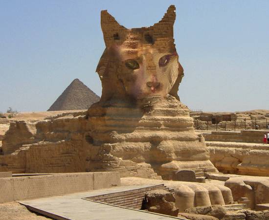 sphynx