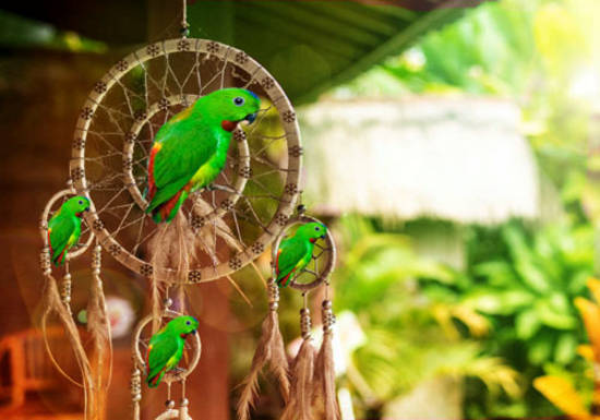 HANGING PARROT