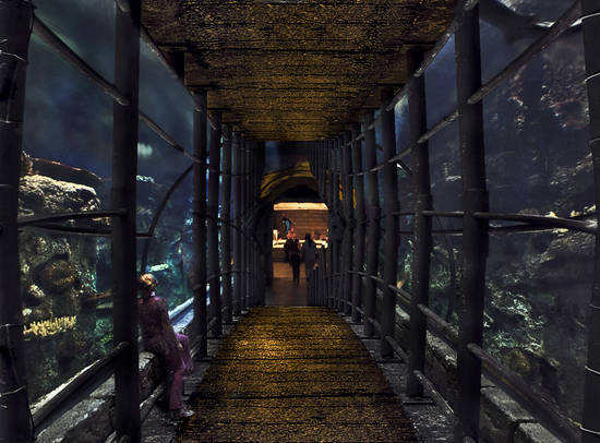 Aquarium Bridge