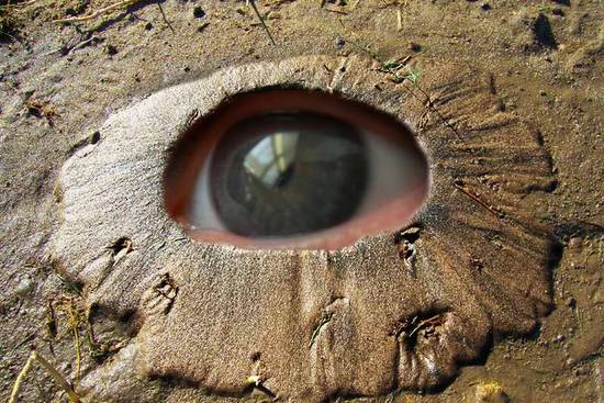 Here's eye in your mud