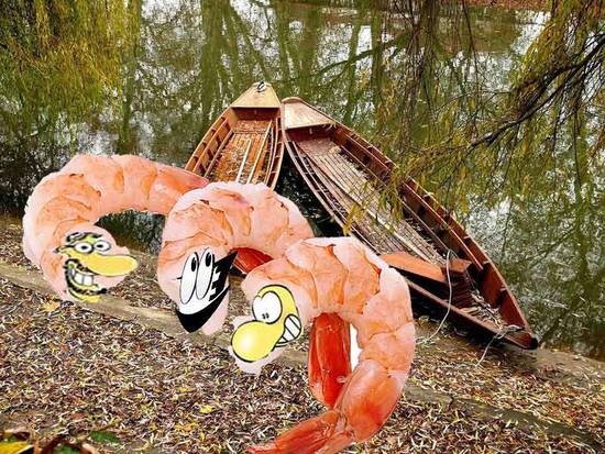 Shrimpboats