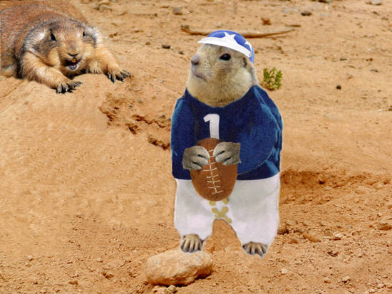 Prairie Dog Games