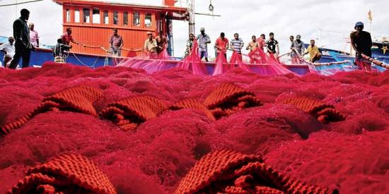 Fishing nets