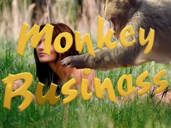 Monkey Businass