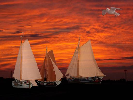 Red sails in the sunset