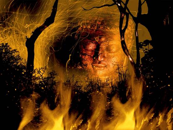 Burning Buddha In Forest