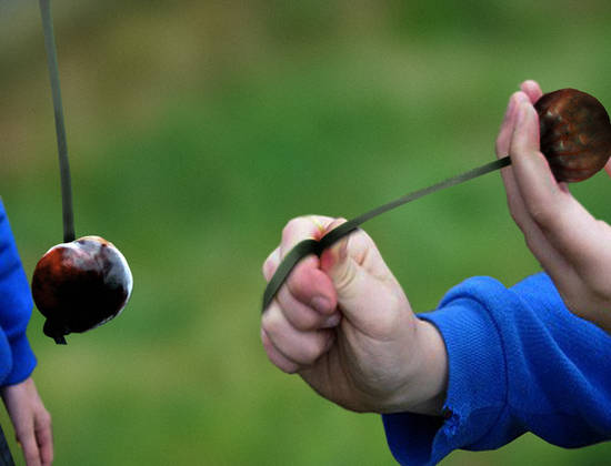 Conquering Conkers...