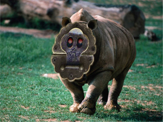 rhino