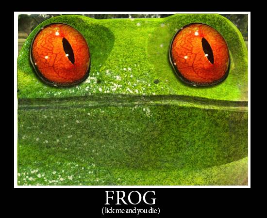 Frog