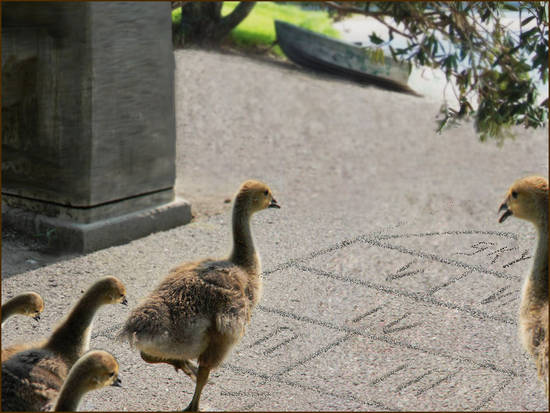 A hopscotch (jump, baby)