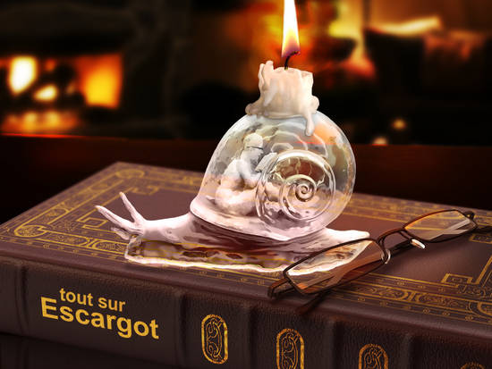 all about escargot