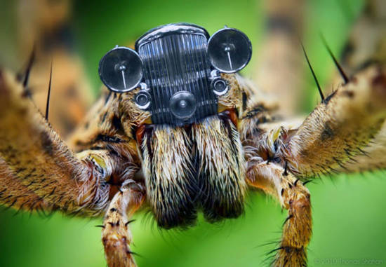 spidercar