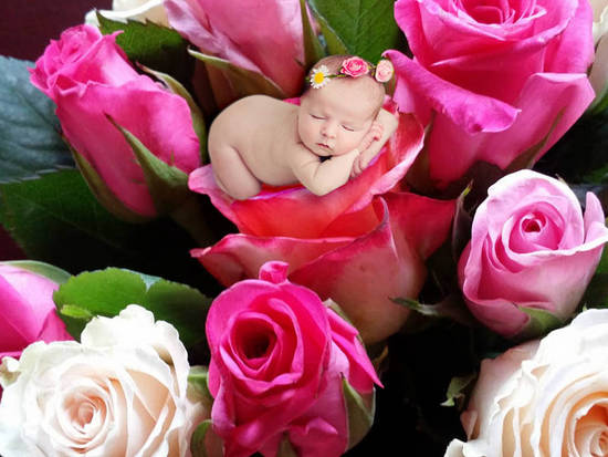 Baby Rose