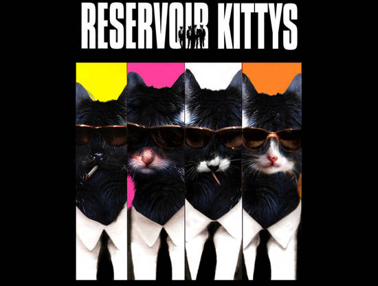 RESERVOIR KITTYS