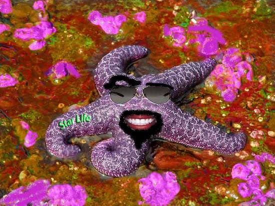 Trippy Starfish