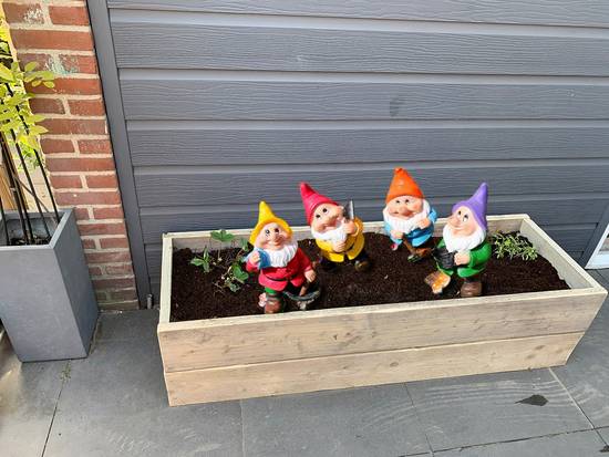 Gnomes