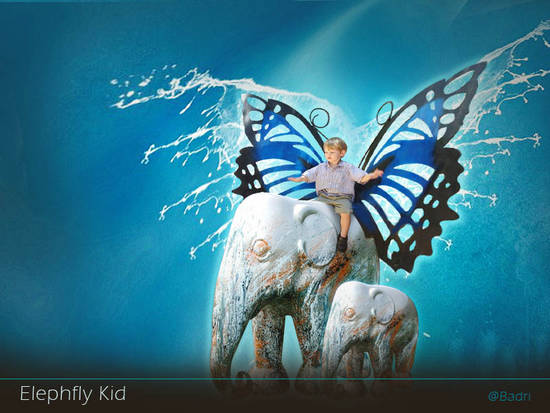 Elephfly_Kid