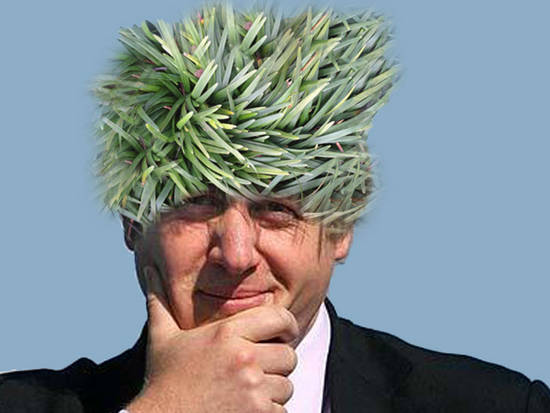 Boris Bad Hair Day