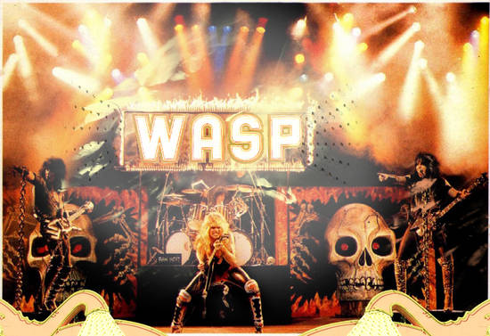 wasp