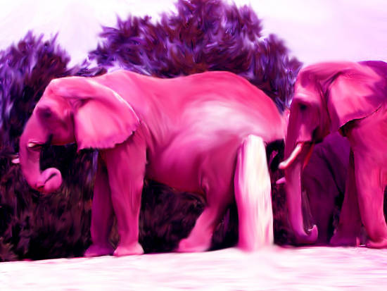 Pink elephants