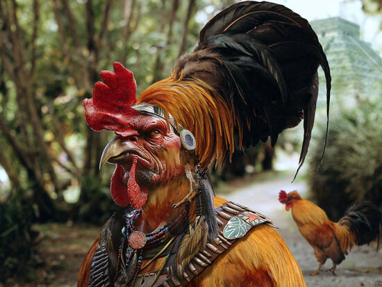 Chichen Itza Rooster.