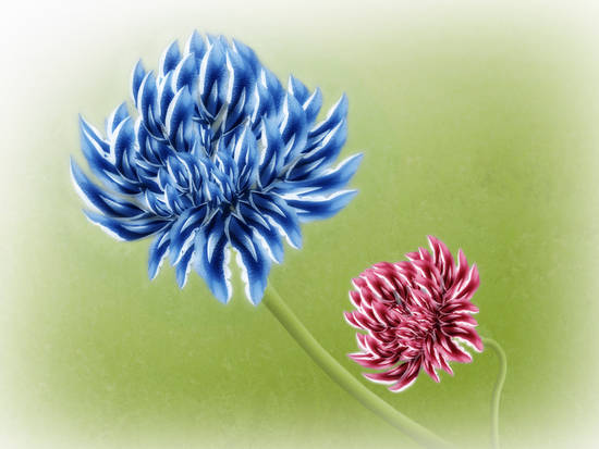 Paper Trifolium