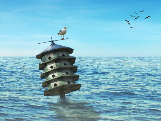 bird condo in water