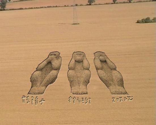 Monkey Crop Circle