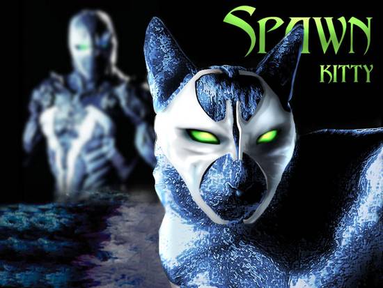 Spawn Kitty