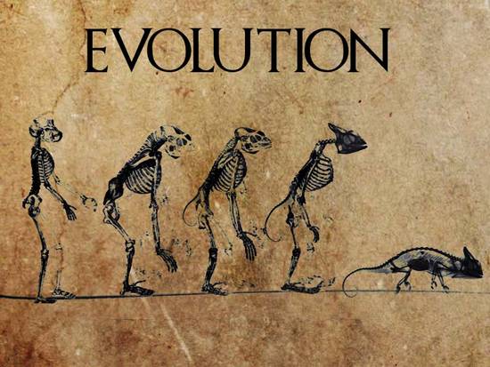 Evolution