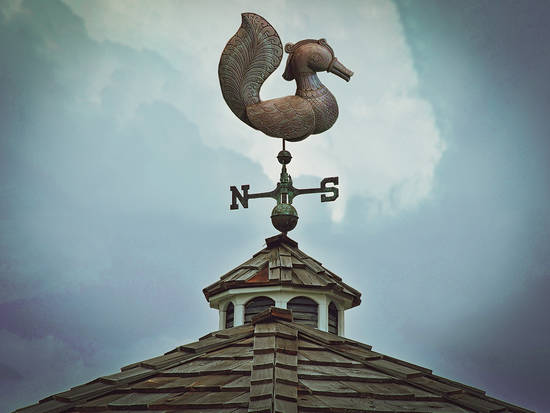 Weather vane