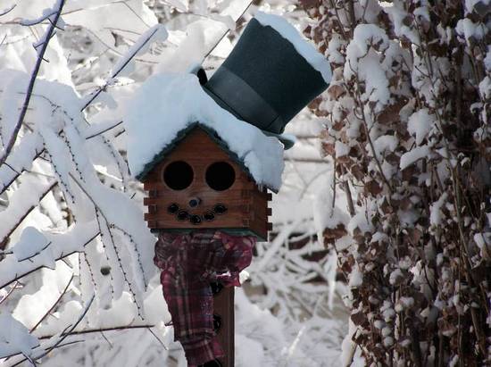 bird house snowman?