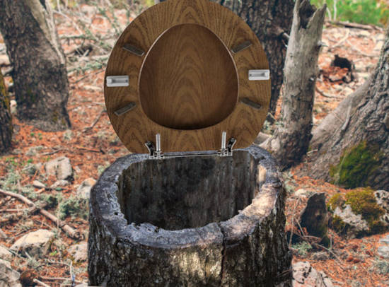 Natural toilet bowl