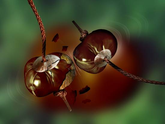 Conkers